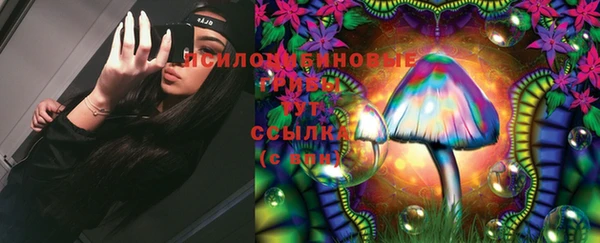 PSILOCYBIN Каменка