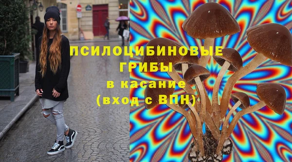 каннабис Покачи