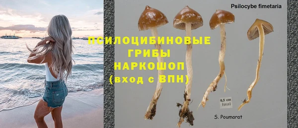 каннабис Алексин