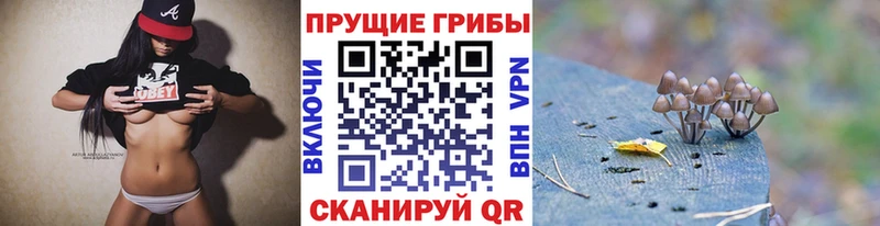 Псилоцибиновые грибы прущие грибы  Кяхта 